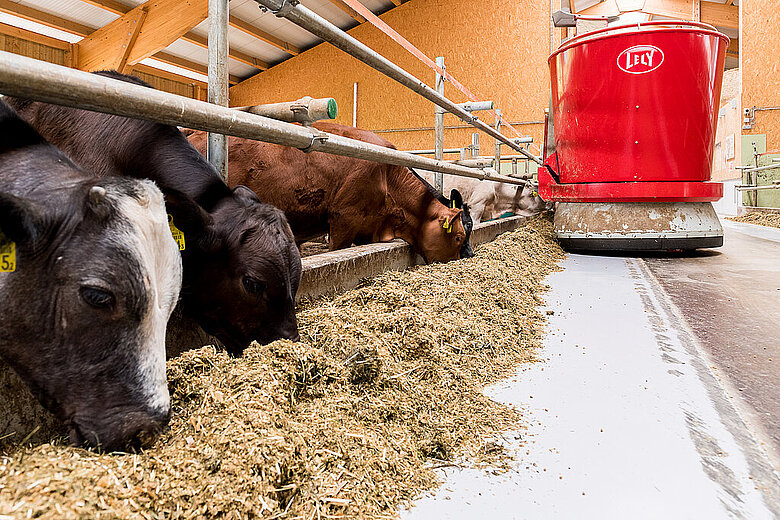 Avantage économique pour tous les éleveurs de bétail en Suisse