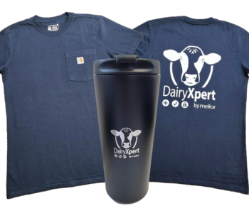 [Translate to French:] 