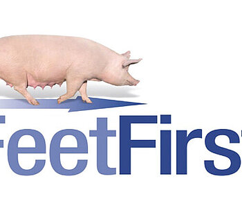 [Translate to French:] FeetFirst Zinpro